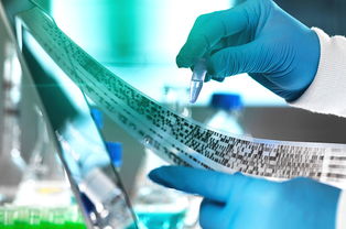 2019年，教育咨詢服務(wù)公司經(jīng)營范圍的“黃金寫法”，讓你賺翻的秘訣